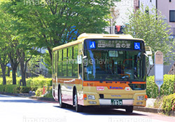 神奈川中央バス