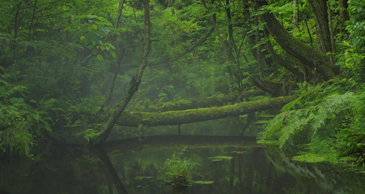 富山県